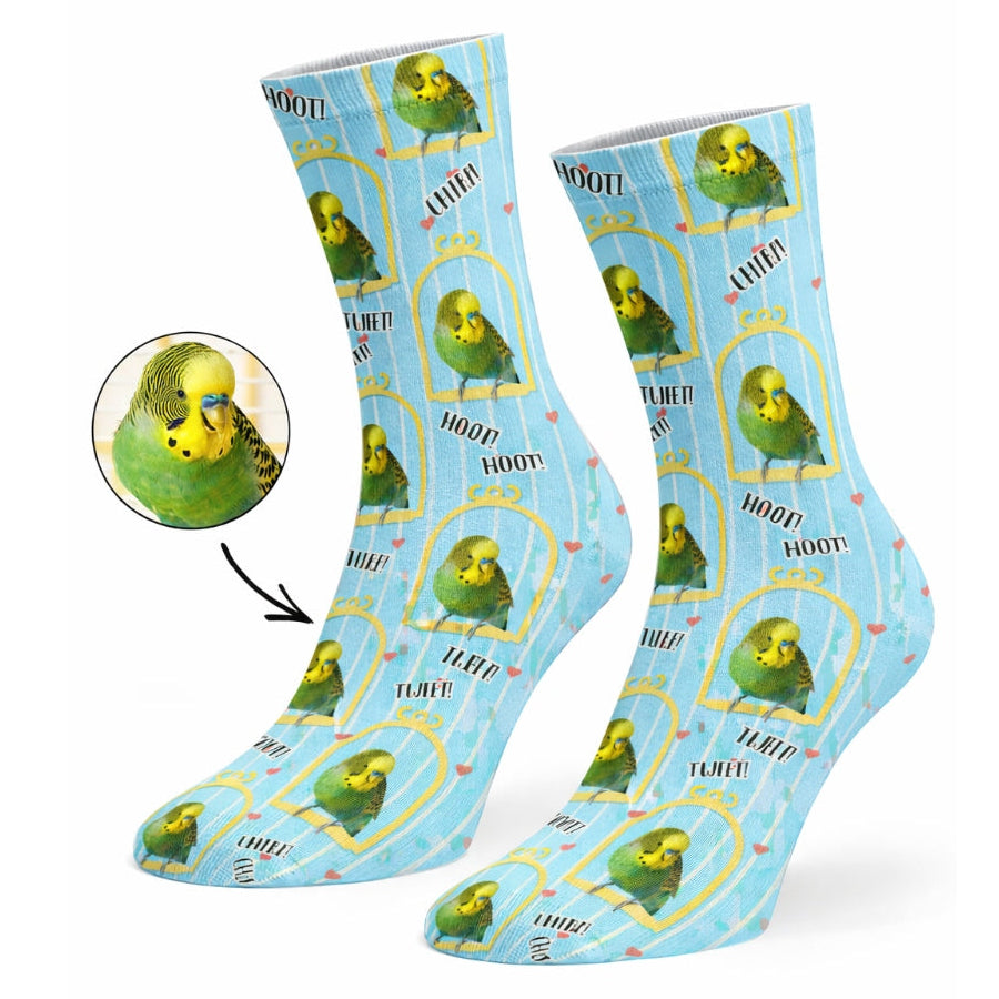 Pair of socks with a parrot design on a light blue background