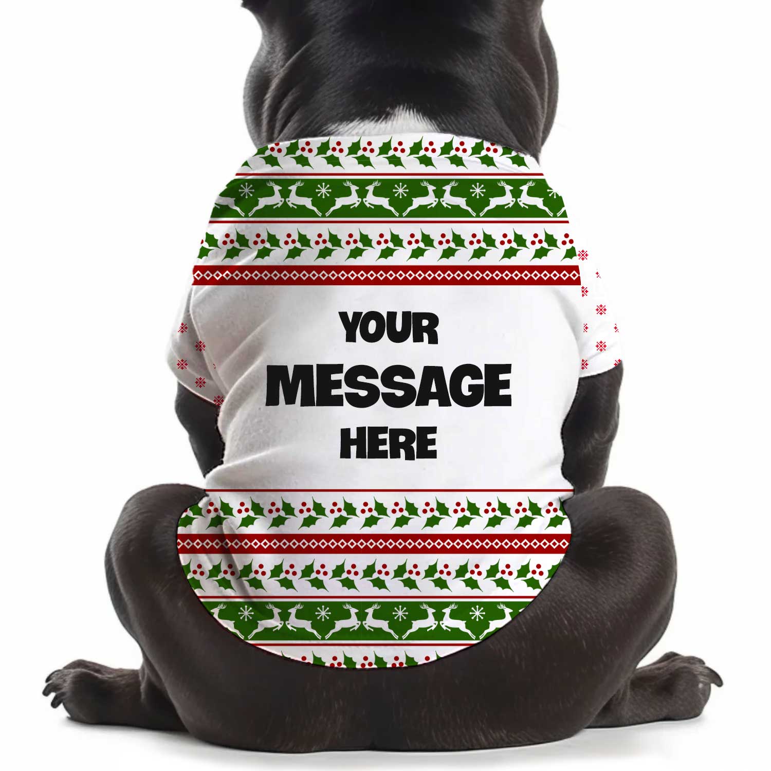 Custom Message Christmas Personalized Christmas Dog T Shirt
