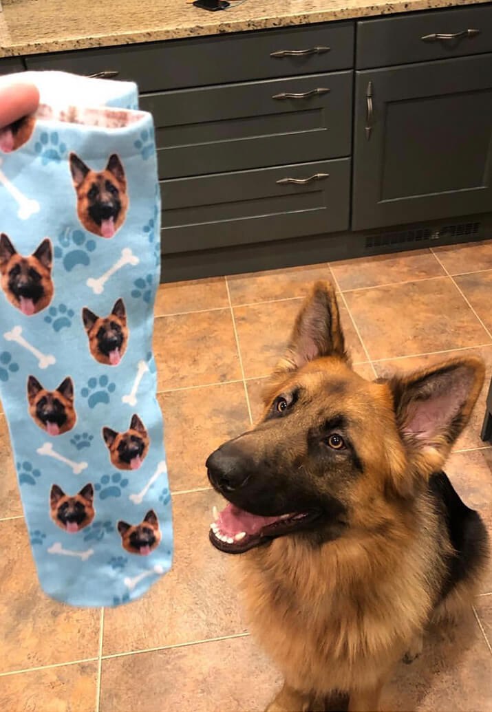 custom dog socks