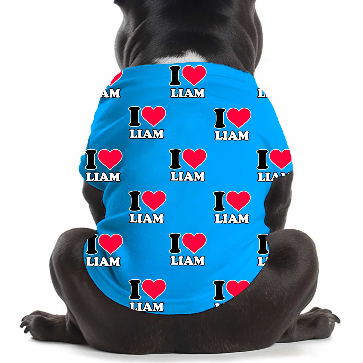 I Heart [Name] Personalized Dog T Shirt