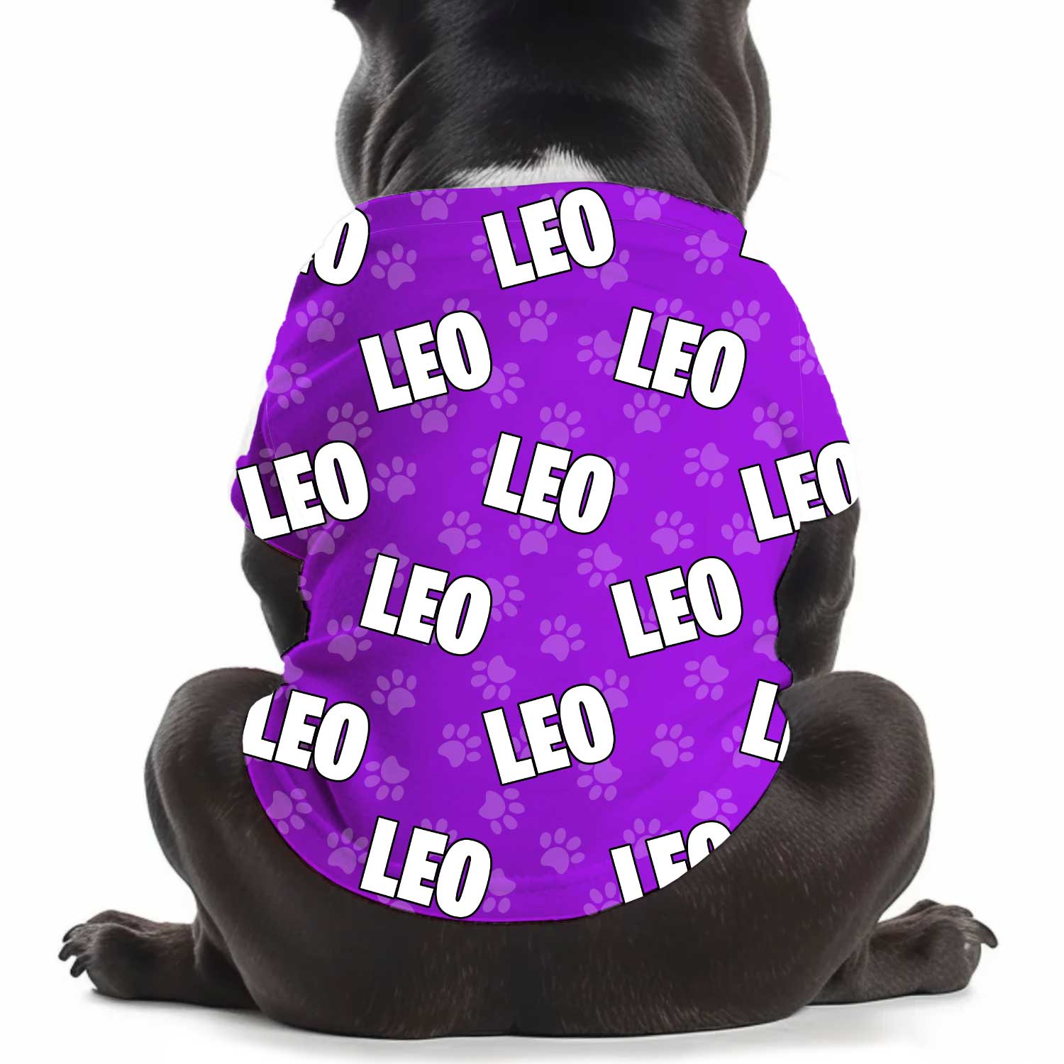 Dog Name Paw Print Personalized Dog T Shirt